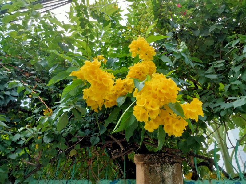 IMG20210817131859.jpg