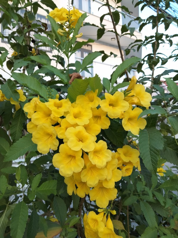 IMG20220116064629.jpg