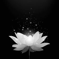 THÀNH KÍNH PHÂN ƯU CÙNG GIA ĐÌNH BÁC ANH.