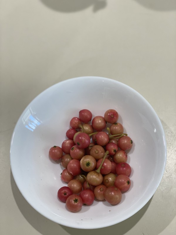 Trứng Cá