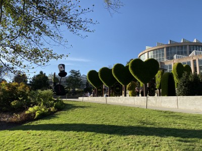 Xanh đón nắng...