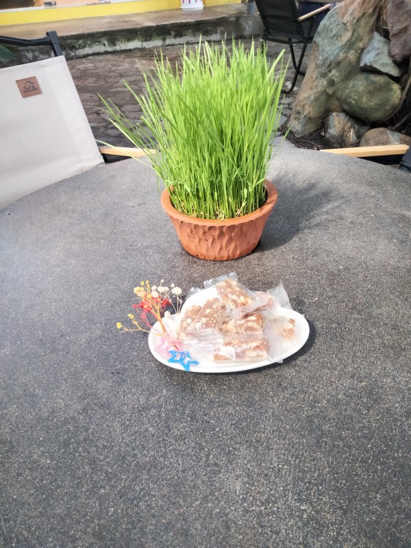 IMG20240905091309.jpg