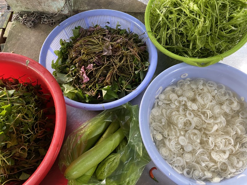 Rau vườn thứ thiệt…