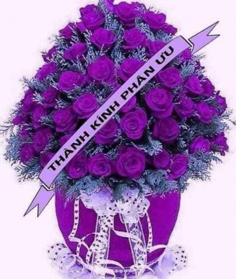 Vô cùng thương tiếc