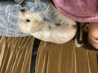 Hắn buồn thì hắn quay mông vào đầu mình...