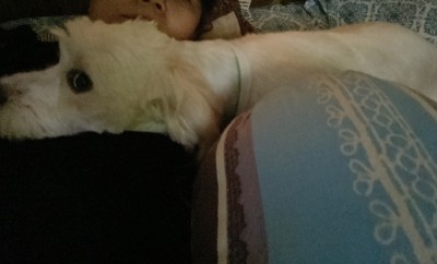 Tức giận lên thì hằn trườn hẳn lên người mà thị uy...