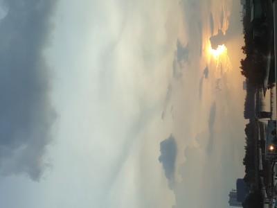 Mây ngóng