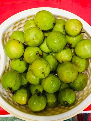Ổi vườn nhà bạn mới thân.