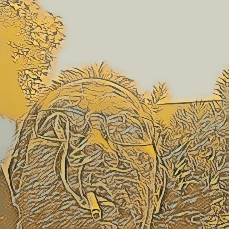 Được hôn ta ? Hy vọng là được.