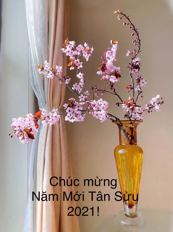 Hôm nay còn tết